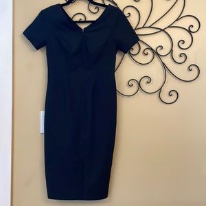 NWT Banana Republic Fitted Petite Dress - Size 00